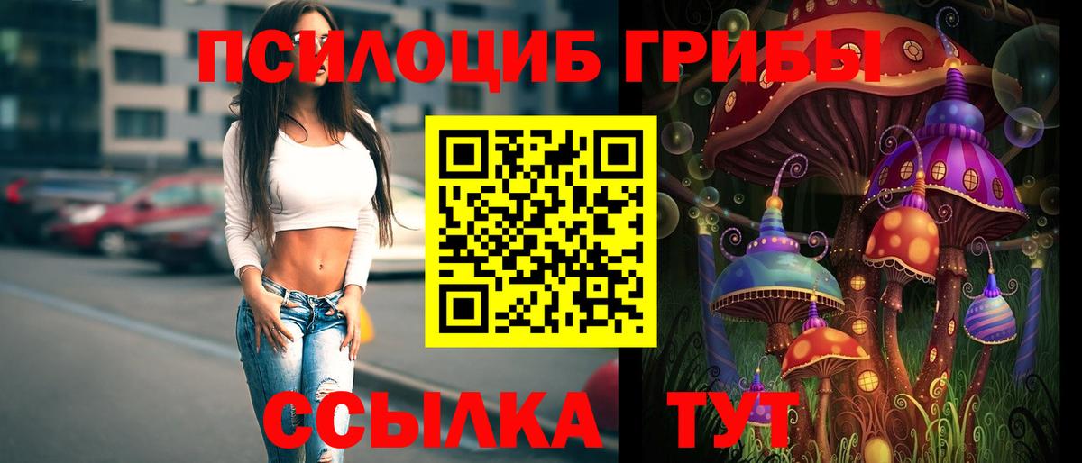 Каспийск  Псилоцибиновые грибы Psilocybine cubensis  Вход с VPN  Галлюциногенные грибы мухоморы 