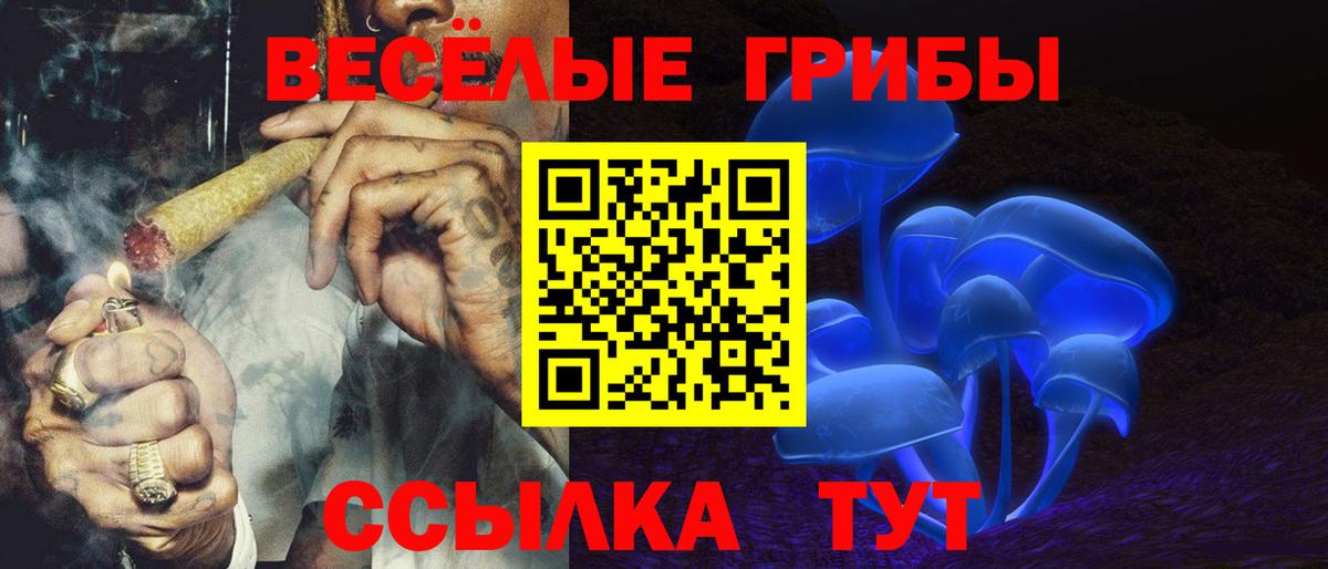 Галлюциногенные грибы Cubensis Каспийск